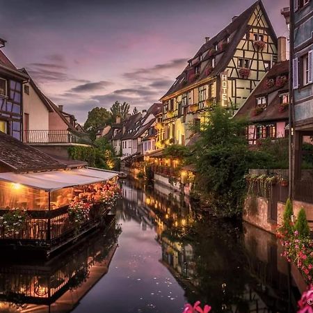 Logement Cosy Et Spacieux, A 2 Pas Du Centre-Ville Colmar Buitenkant foto