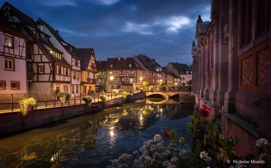 Logement Cosy Et Spacieux, A 2 Pas Du Centre-Ville Colmar Buitenkant foto