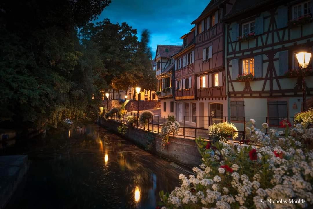 Logement Cosy Et Spacieux, A 2 Pas Du Centre-Ville Colmar Buitenkant foto