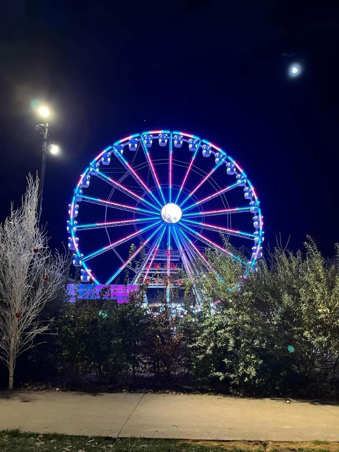 Logement Cosy Et Spacieux, A 2 Pas Du Centre-Ville Colmar Buitenkant foto